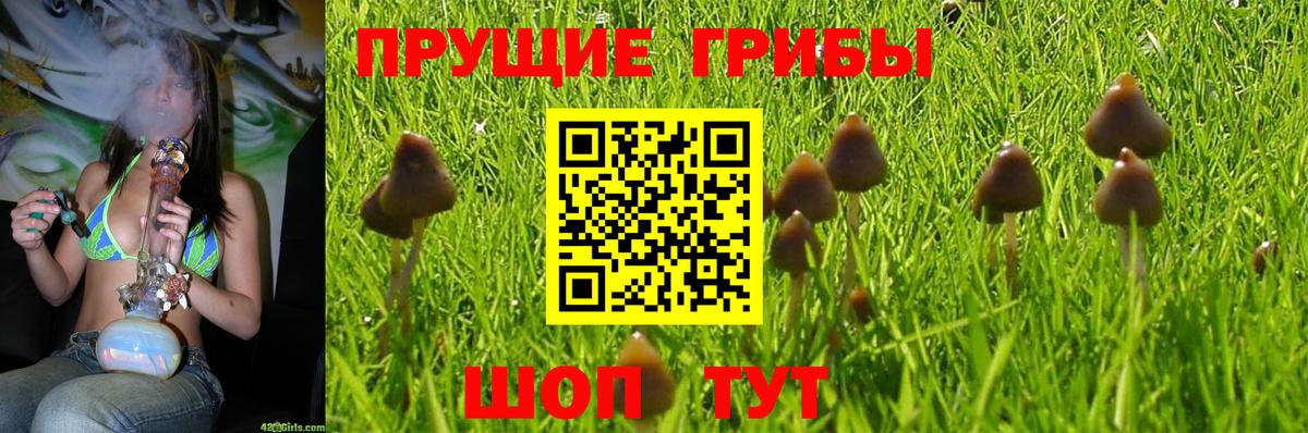 Галлюциногенные грибы мицелий Юрга